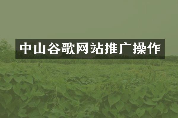 中山谷歌网站推广操作