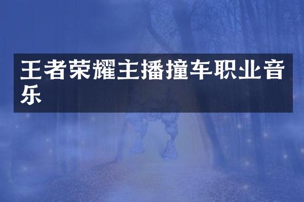 王者荣耀主播撞车职业音乐