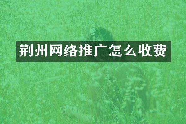 荆州网络推广怎么收费