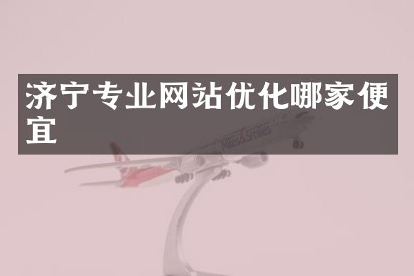 济宁专业网站优化哪家便宜