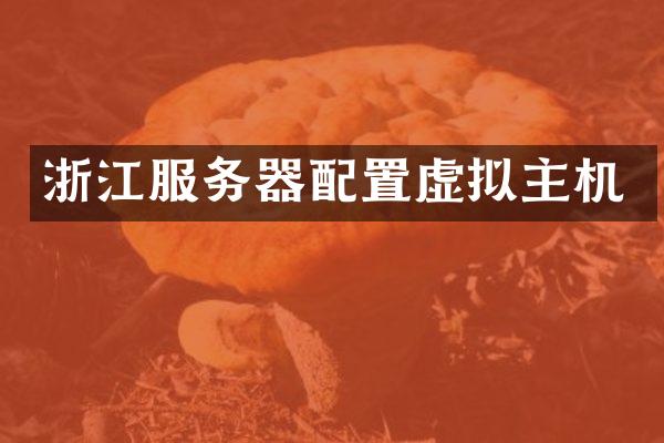 浙江服务器配置虚拟主机