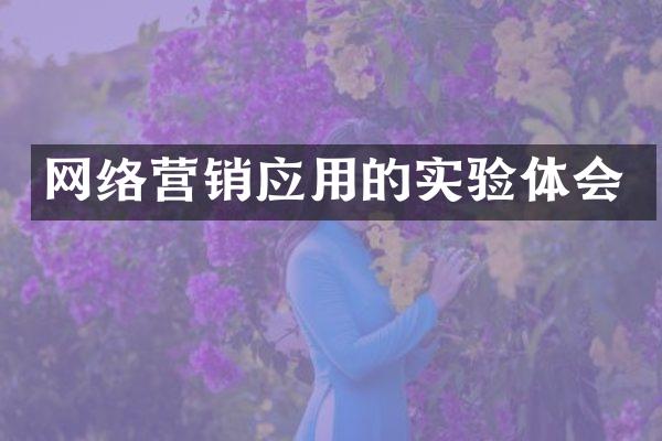 网络营销应用的实验体会