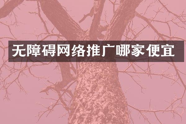 无障碍网络推广哪家便宜