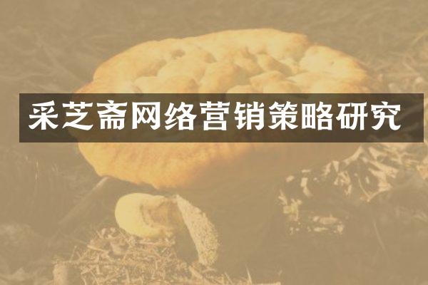 采芝斋网络营销策略研究