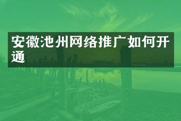 安徽池州网络推广如何开通