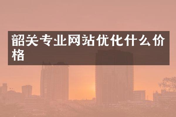 韶关专业网站优化什么价格