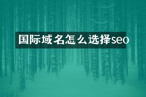 国际域名怎么选择seo