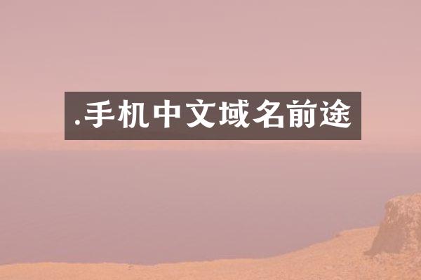.手机中文域名前途