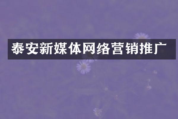 泰安新媒体网络营销推广