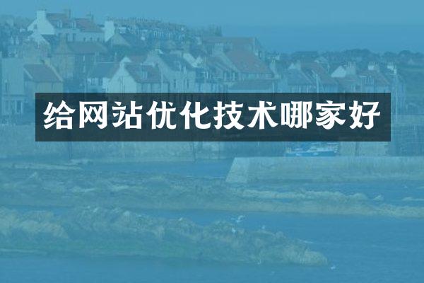 给网站优化技术哪家好