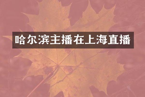 哈尔滨主播在上海直播