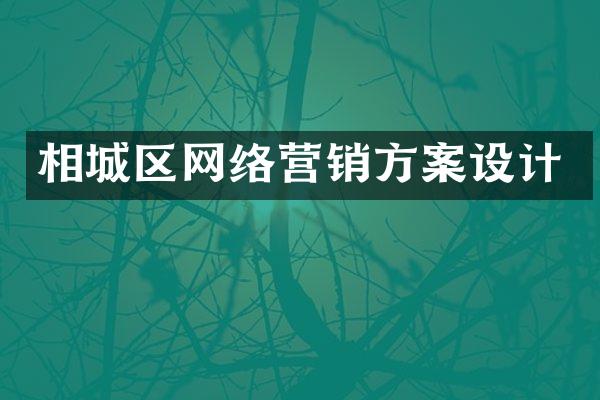 相城区网络营销方案设计