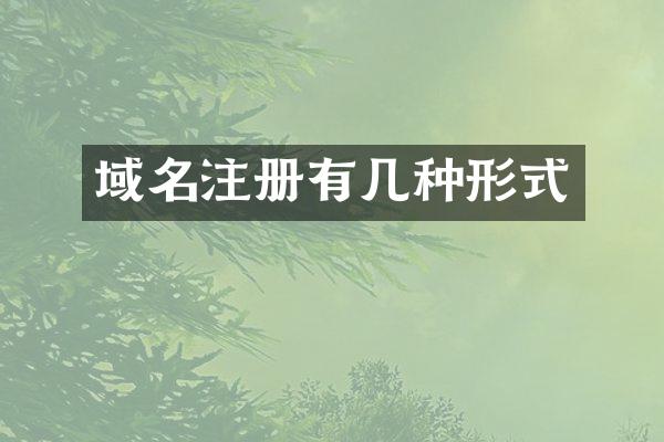 域名注册有几种形式