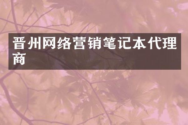 晋州网络营销笔记本代理商