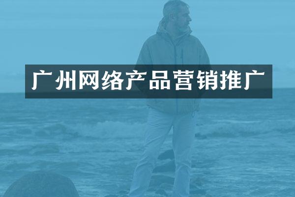 广州网络产品营销推广