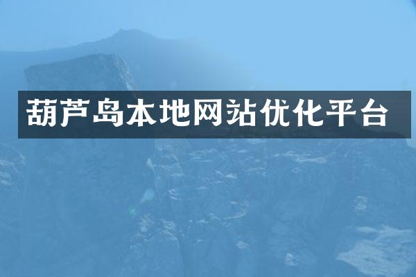 葫芦岛本地网站优化平台