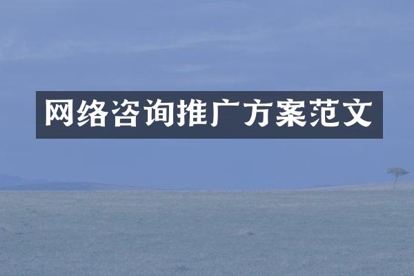 网络咨询推广方案范文