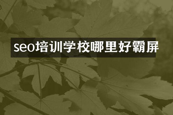 seo培训学校哪里好霸屏