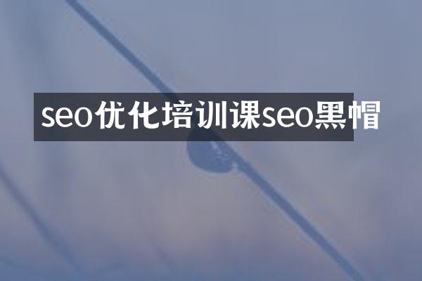 seo优化培训课seo黑帽
