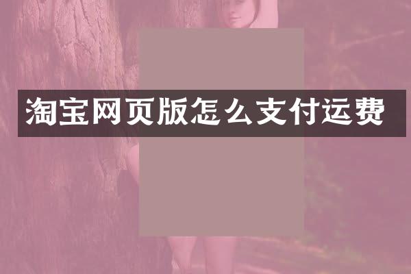 淘宝网页版怎么支付运费