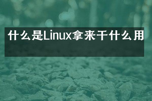 什么是Linux拿来干什么用的