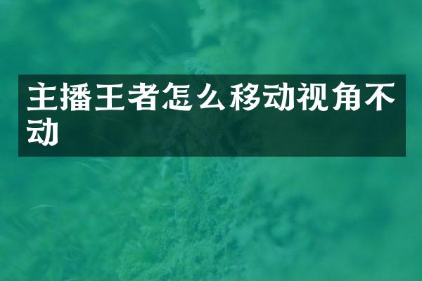 主播王者怎么移动视角不动