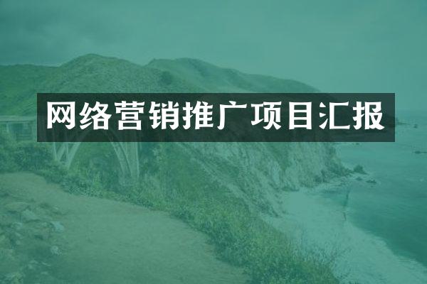 网络营销推广项目汇报