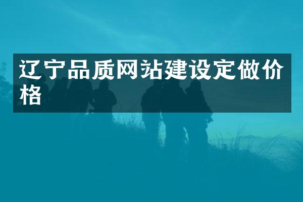 辽宁品质网站建设定做价格