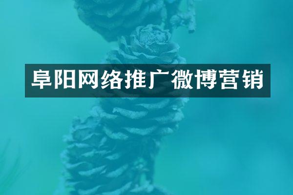 阜阳网络推广微博营销
