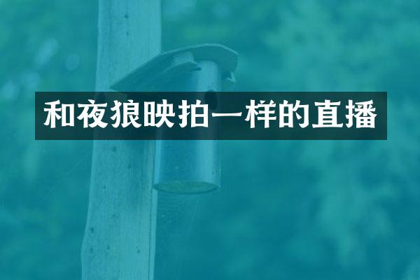 和夜狼映拍一样的直播