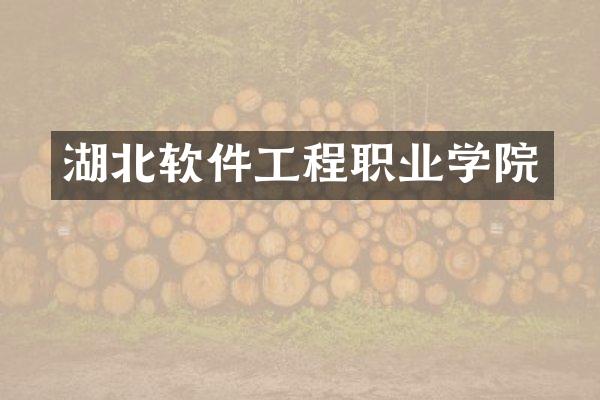 湖北软件工程职业学院