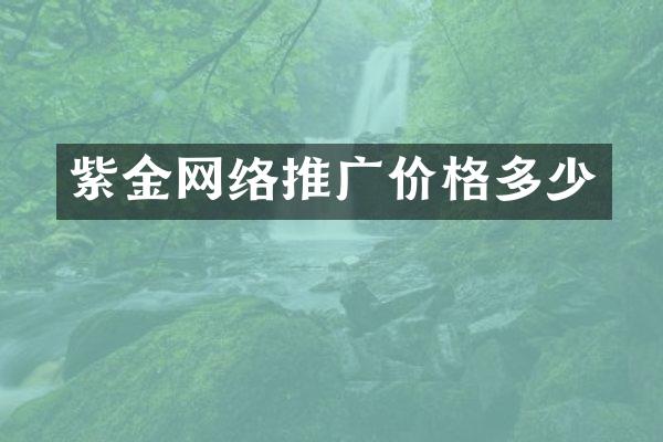 紫金网络推广价格多少