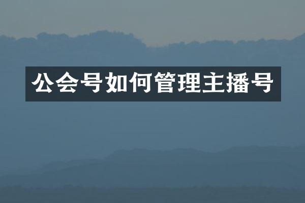 公会号如何管理主播号