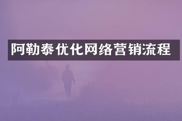阿勒泰优化网络营销流程