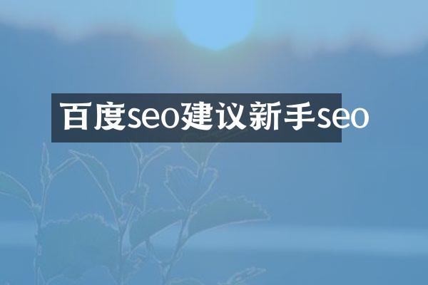 百度seo建议新手seo