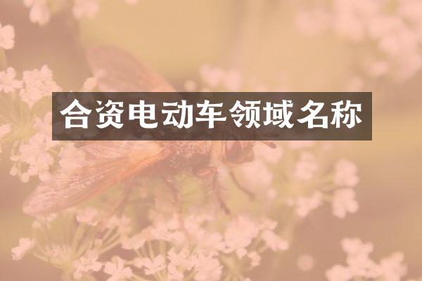 合资电动车领域名称