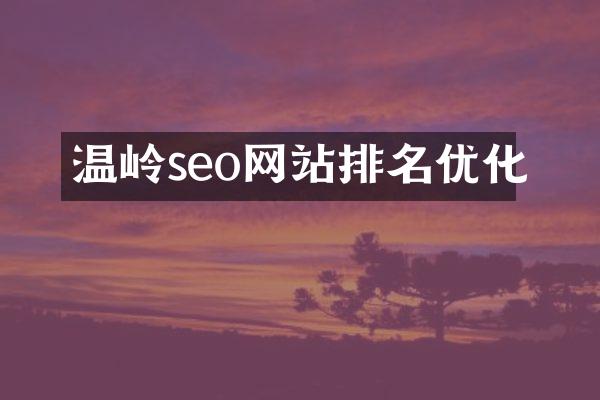 温岭seo网站排名优化