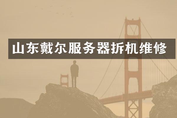 山东戴尔服务器拆机维修