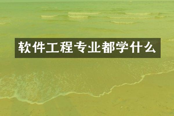 软件工程专业都学什么