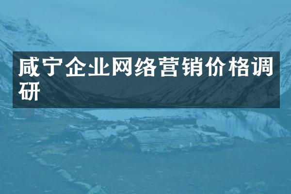咸宁企业网络营销价格调研