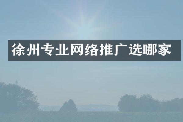 徐州专业网络推广选哪家
