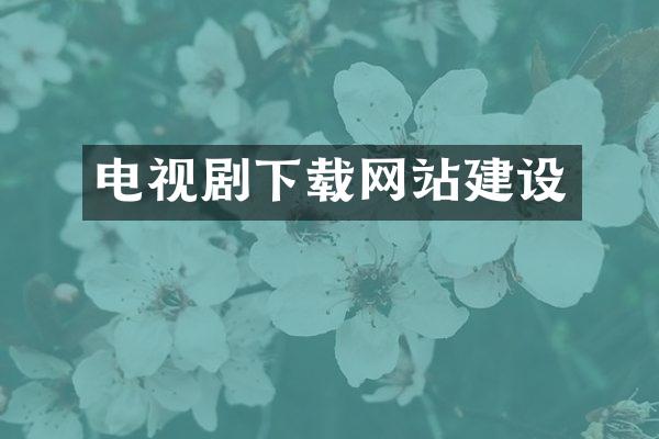 电视剧下载网站建设