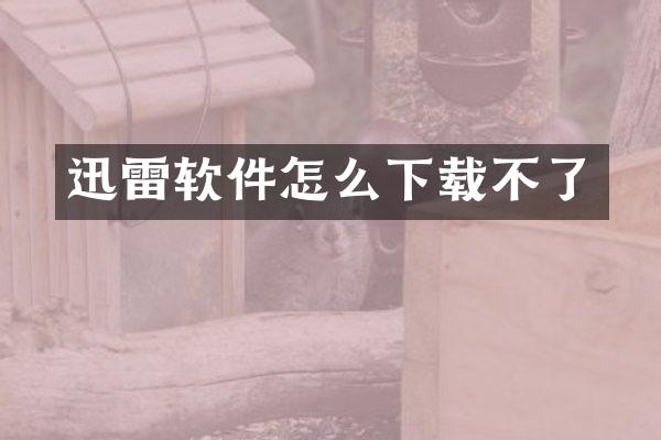 迅雷软件怎么下载不了