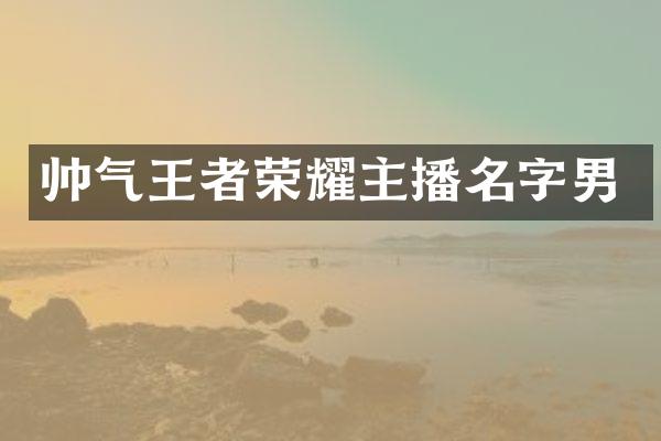 帅气王者荣耀主播名字男