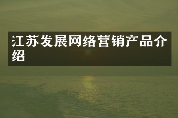 江苏发展网络营销产品介绍