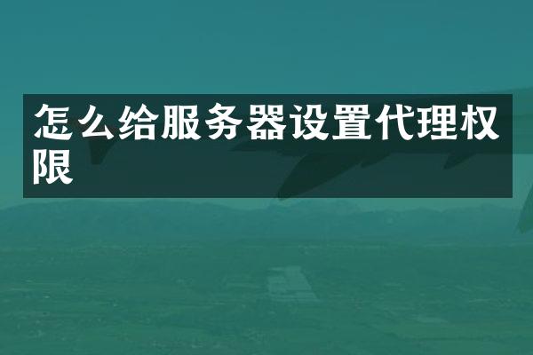 怎么给服务器设置代理权限