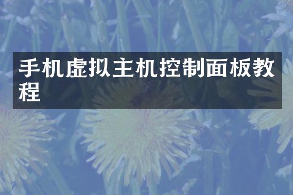 手机虚拟主机控制面板教程
