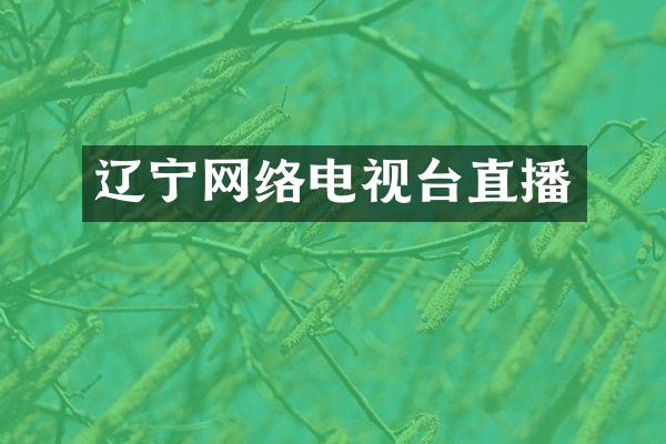 辽宁网络电视台直播