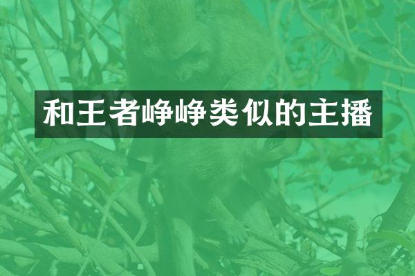 和王者峥峥类似的主播