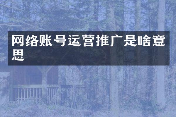 网络账号运营推广是啥意思